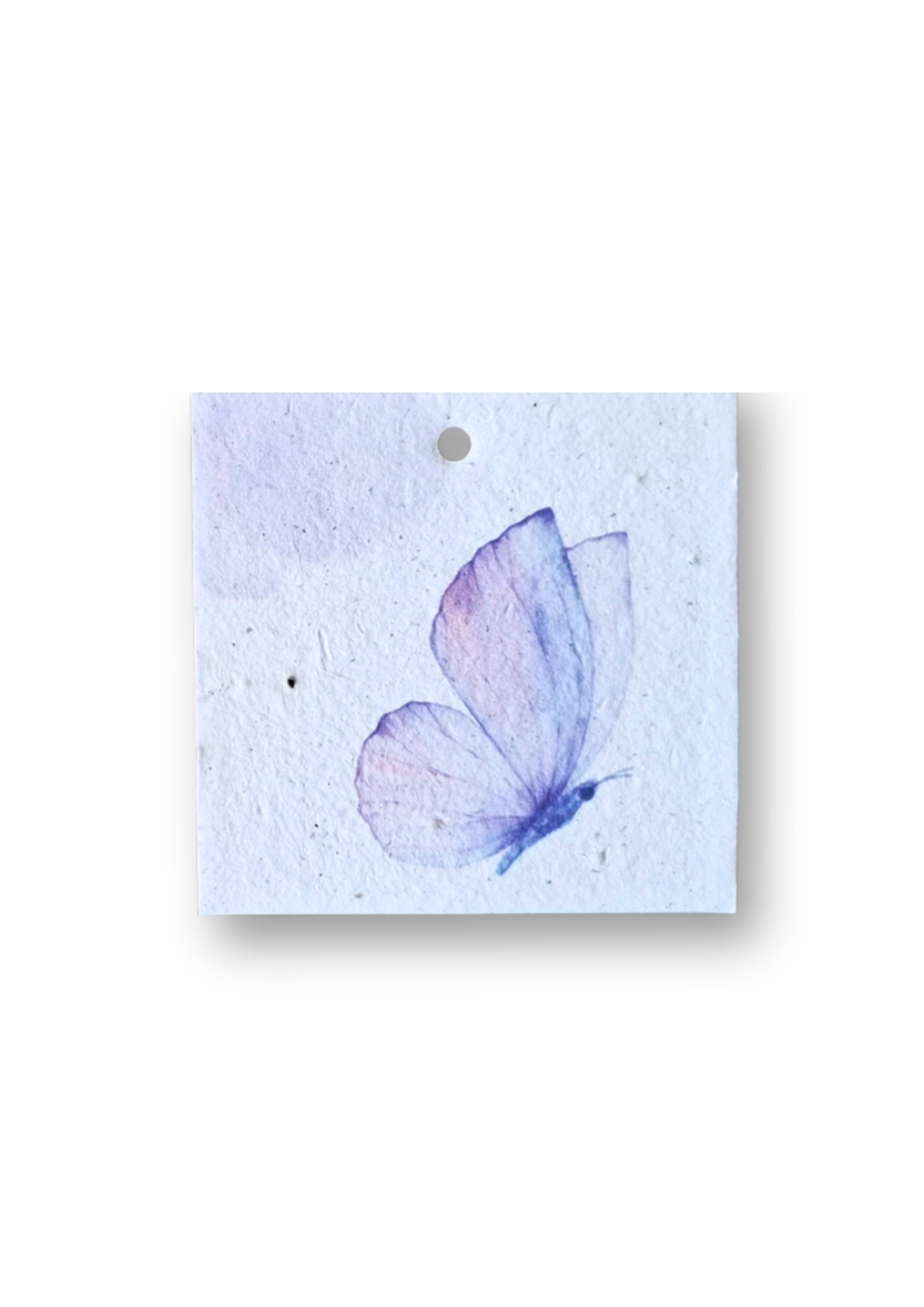Bloeikaartje Rouw - Vlinder zonder tekst (5 stuks, 8 x 8 cm)
