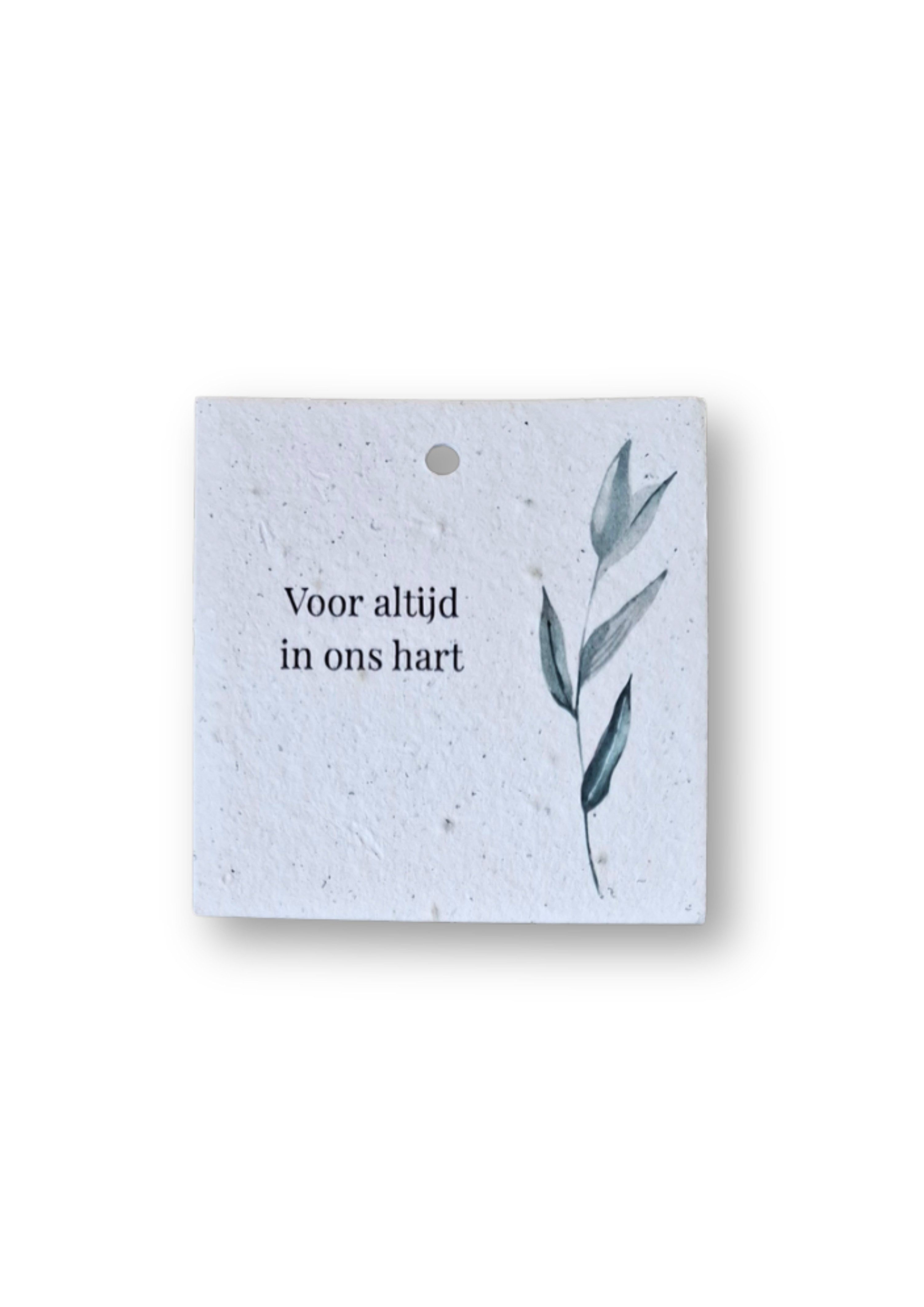 Bloeikaartje Rouw - Voor altijd in ons hart (5 stuks, 8 x 8 cm)