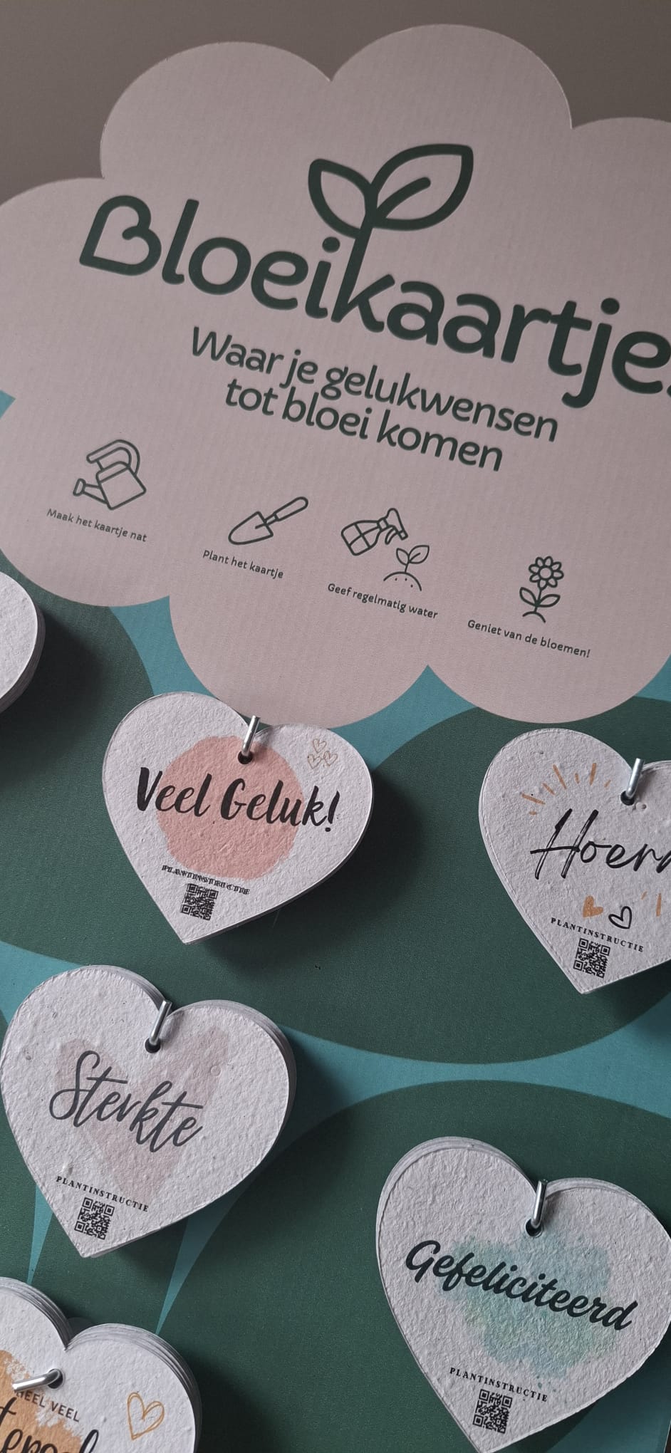 Display met 100 kaartjes
